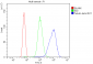 Anti-Beta Tubulin TUBB Antibody Picoband™ (monoclonal, 2E11)
